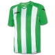 Joma Maglia Gara PISA 12 Bianco/Verde Uomo